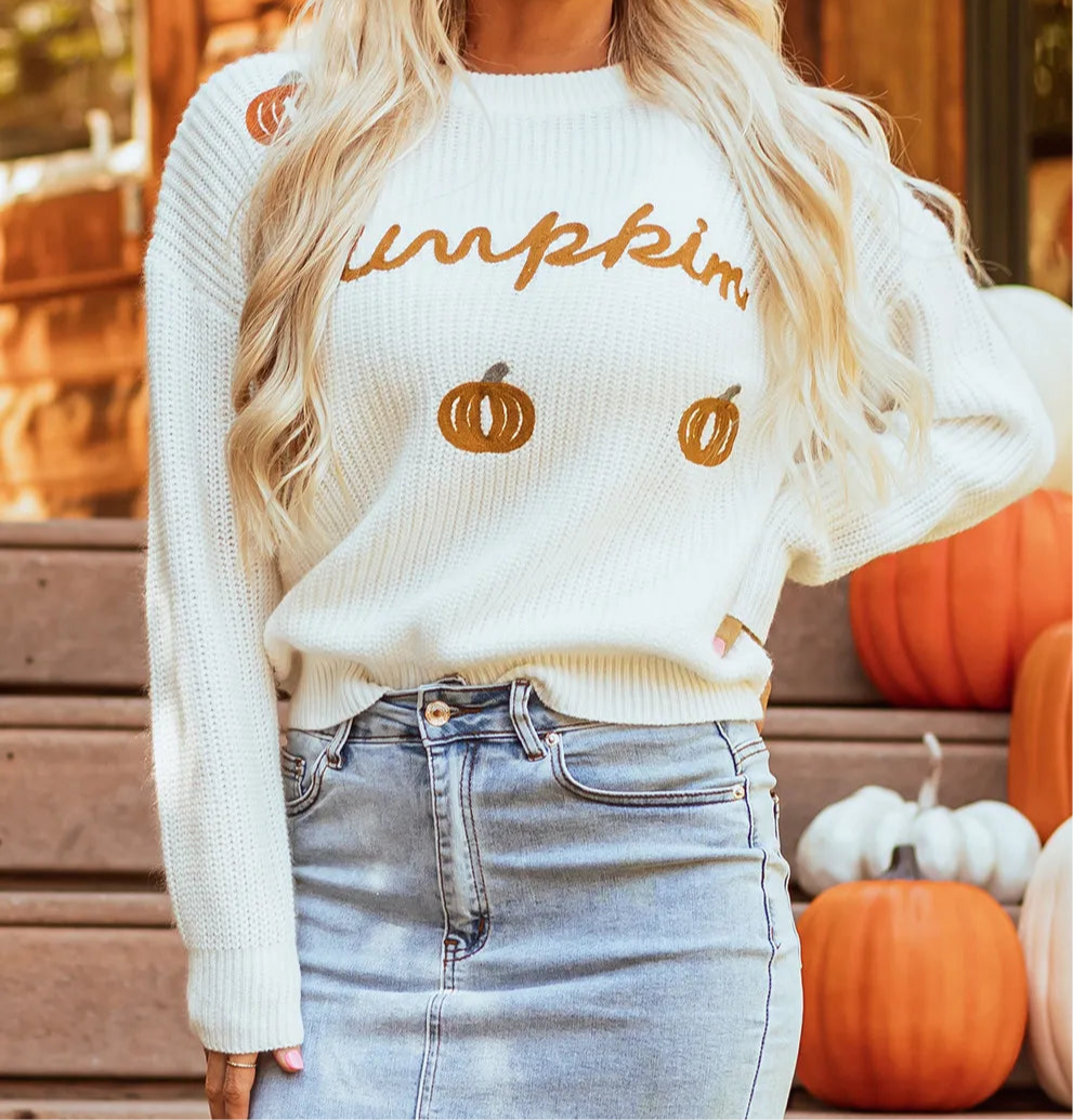 Pumpkin Embroidery Long Sleeve Sweater